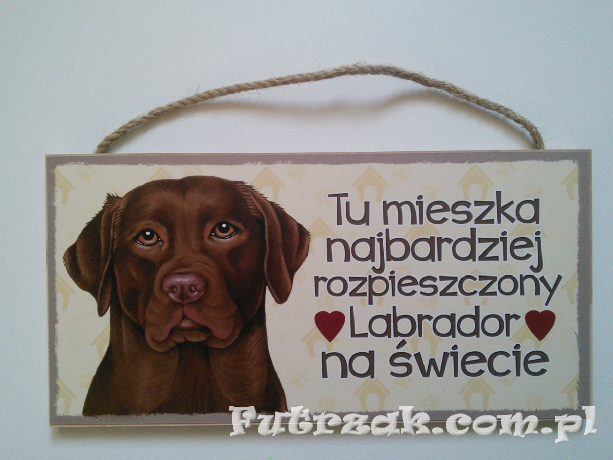 Tabliczka Drewniana Z Motywem I Napisem Labrador Futrzak Pl